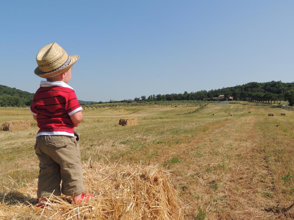 Agriturismo Podere Borgognano Massa Marittima Kültér fotó