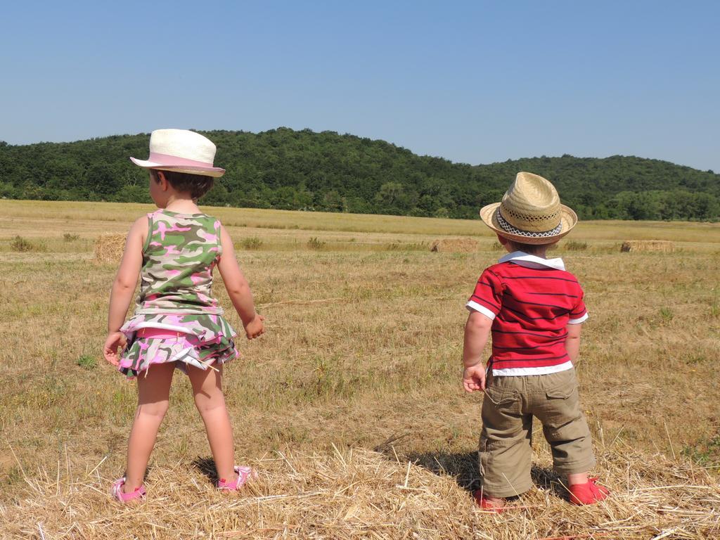 Agriturismo Podere Borgognano Massa Marittima Kültér fotó