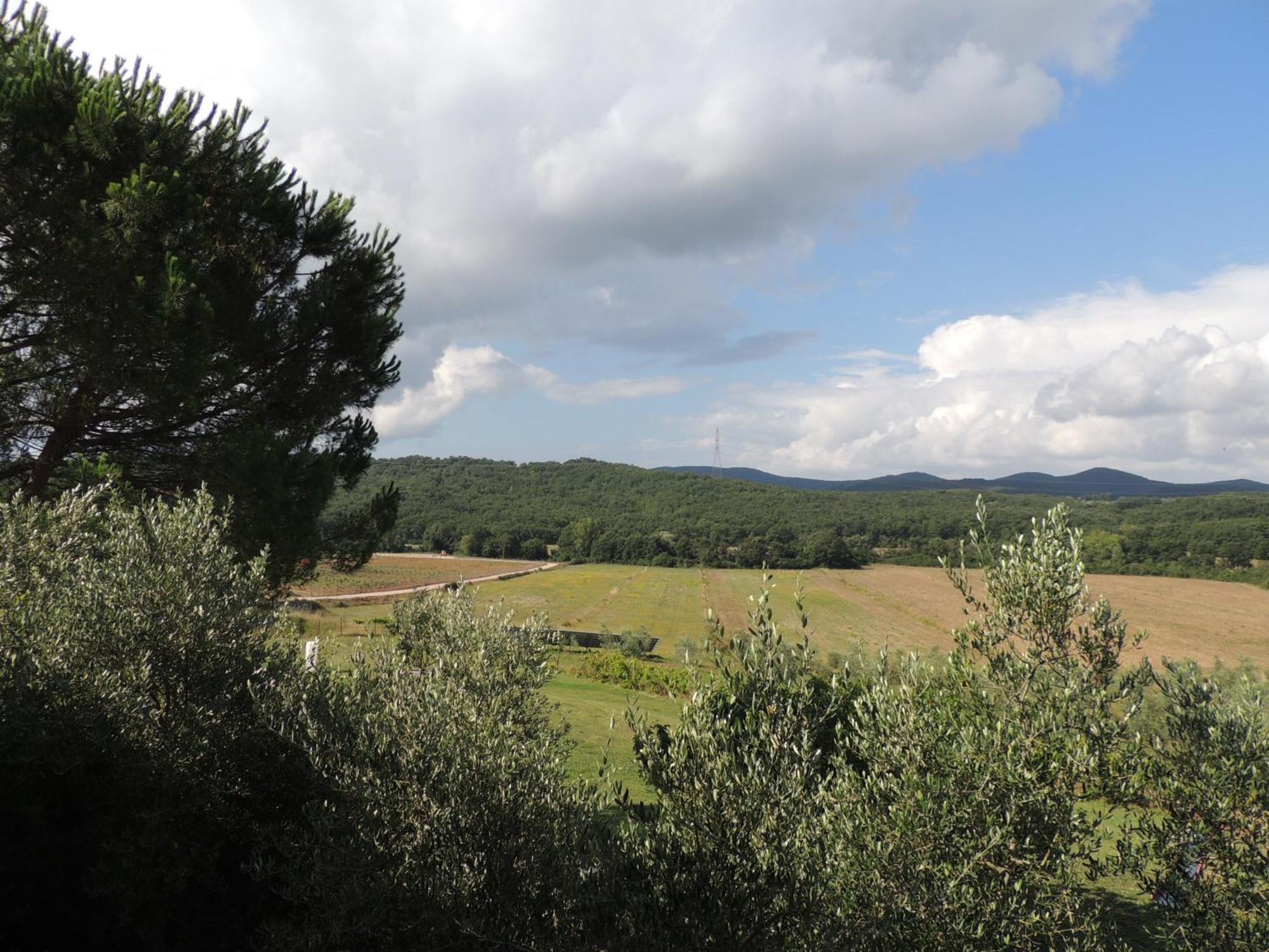 Agriturismo Podere Borgognano Massa Marittima Szoba fotó
