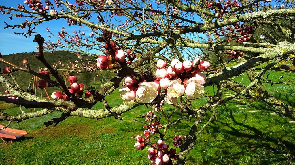 Agriturismo Podere Borgognano Massa Marittima Kültér fotó