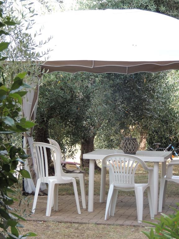 Agriturismo Podere Borgognano Massa Marittima Kültér fotó