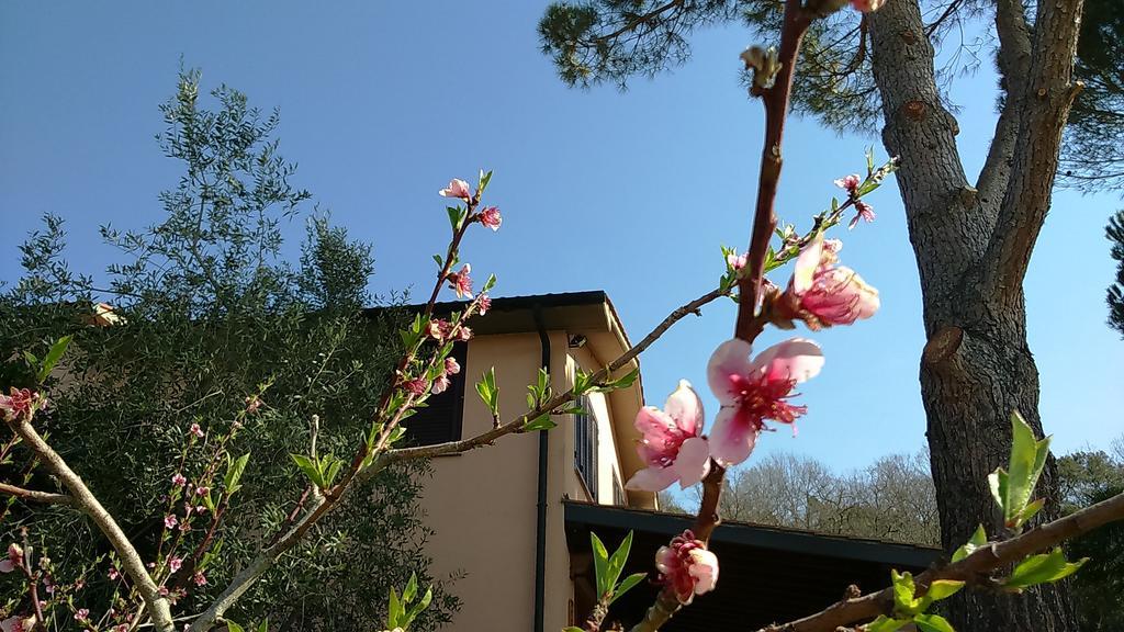 Agriturismo Podere Borgognano Massa Marittima Kültér fotó