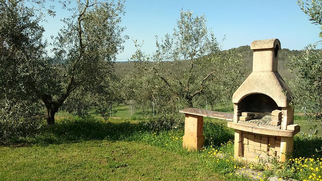 Agriturismo Podere Borgognano Massa Marittima Kültér fotó