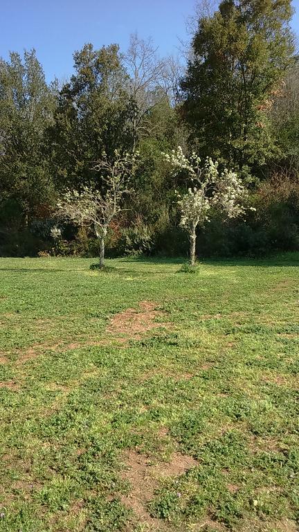 Agriturismo Podere Borgognano Massa Marittima Kültér fotó