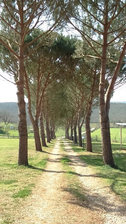 Agriturismo Podere Borgognano Massa Marittima Kültér fotó