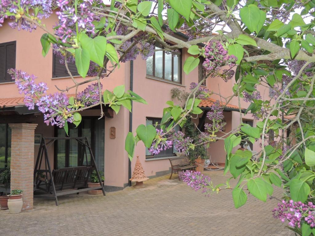 Agriturismo Podere Borgognano Massa Marittima Kültér fotó