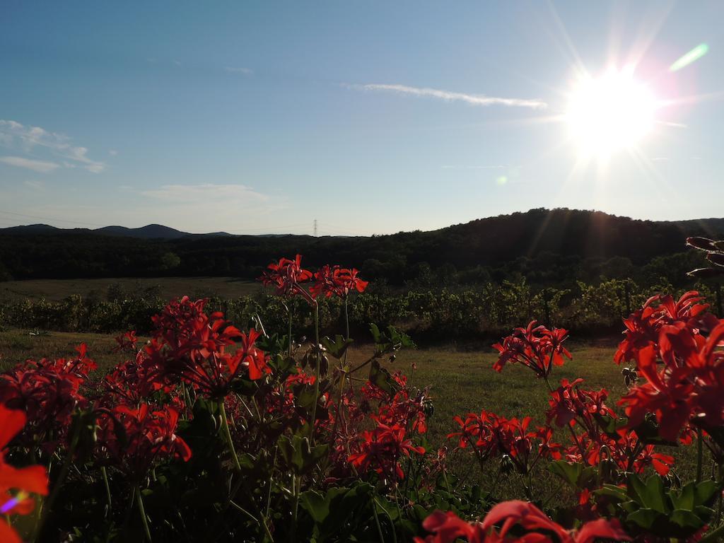 Agriturismo Podere Borgognano Massa Marittima Kültér fotó